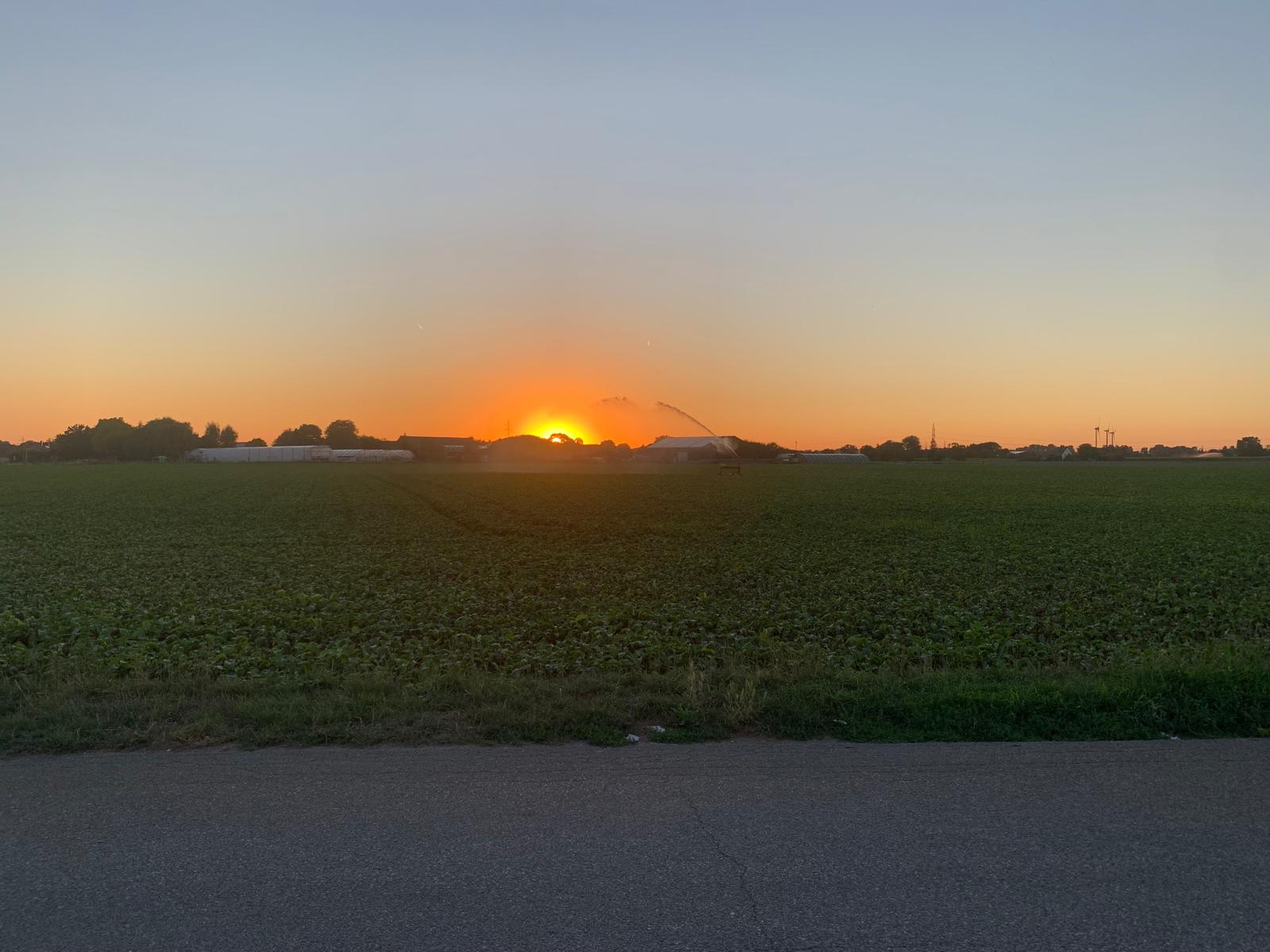 Eindruck vom Schmeddershof